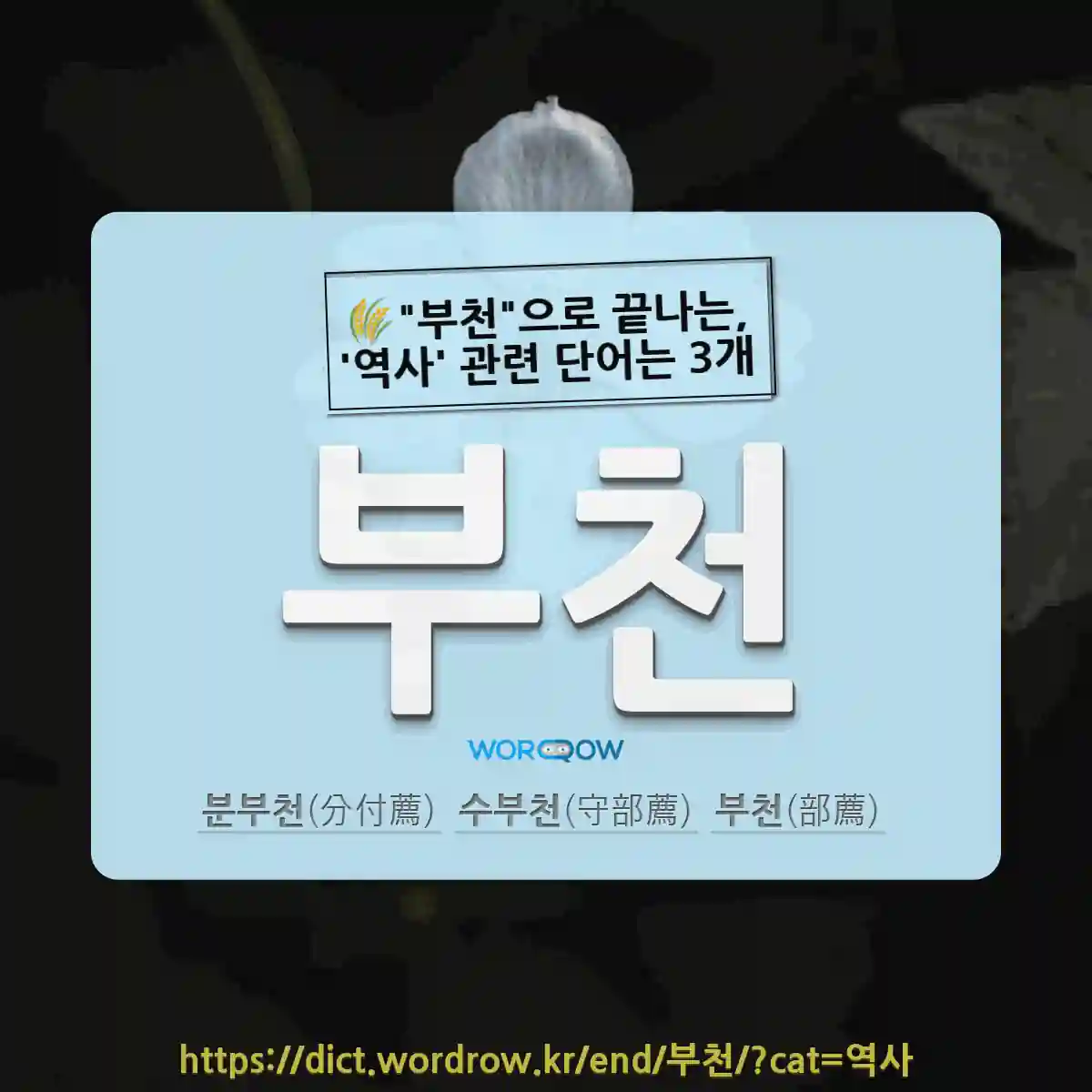 국어사전에서 🌾부천으로 끝나는, 역사 관련 단어는 3개