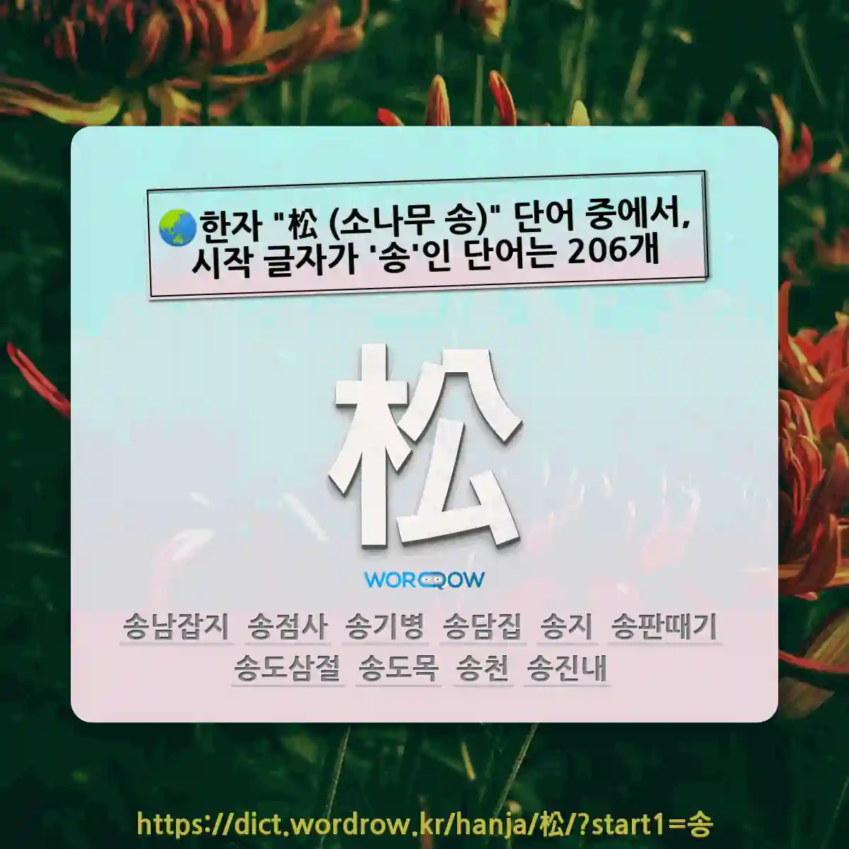 국어사전에서 🌏한자 松 (소나무 송) 단어 중에서, 시작 글자가 송인 단어는 206개