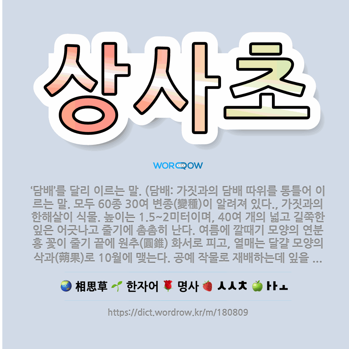 🌟상사초: ‘담배’를 달리 이르는 말. (담배: 가짓과의 담배 따위를 통틀어 이르는 말. 모두 60종 30... - 표준국어대사전