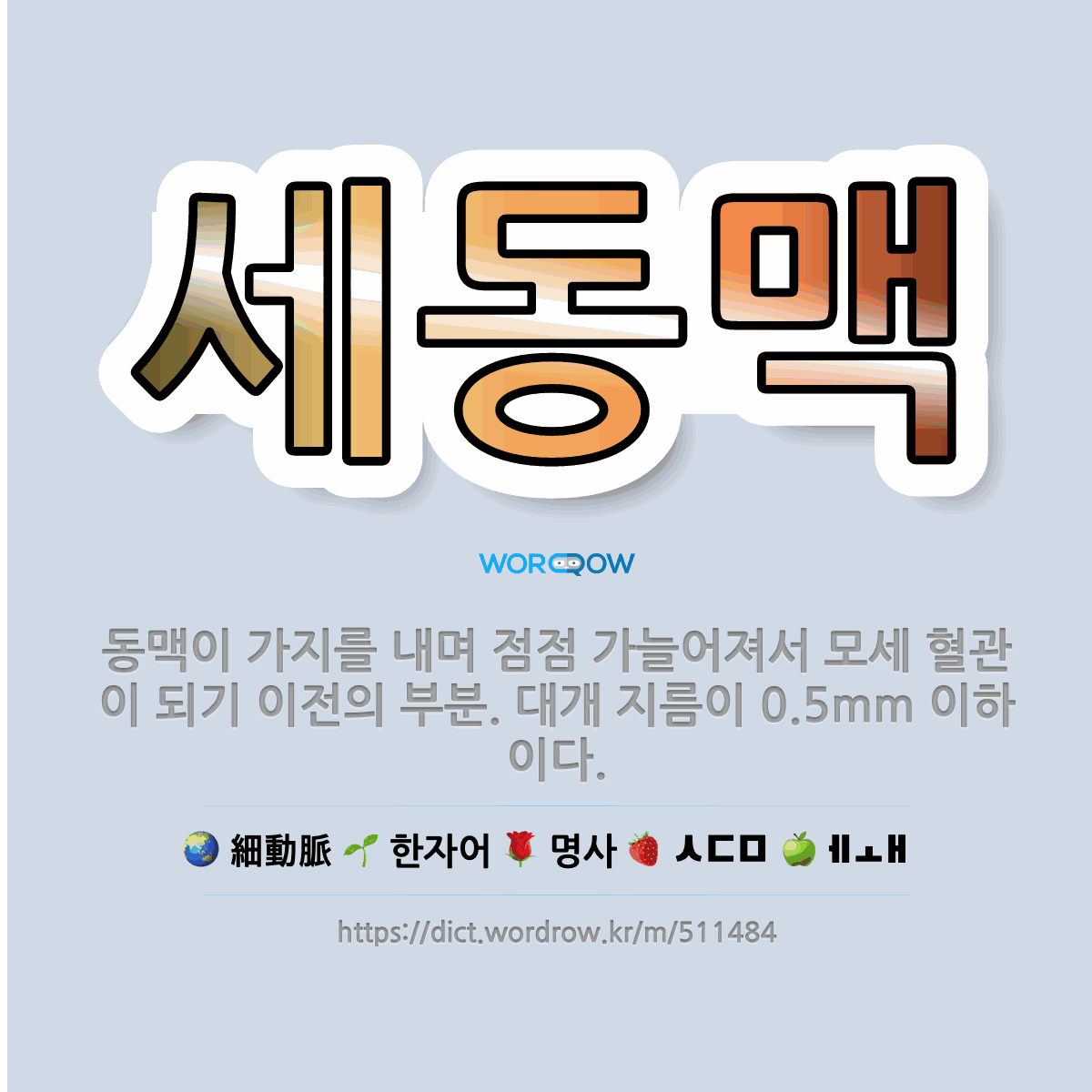 🌟세동맥: 동맥이 가지를 내며 점점 가늘어져서 모세 혈관이 되기 이전의 부분. 대개 지름이 0.5mm 이하이다. - 표준국어대사전