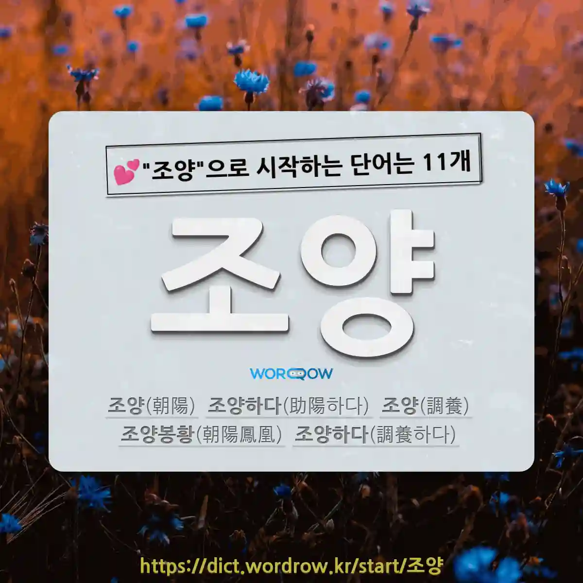 국어사전에서 💕조양으로 시작하는 단어는 11개