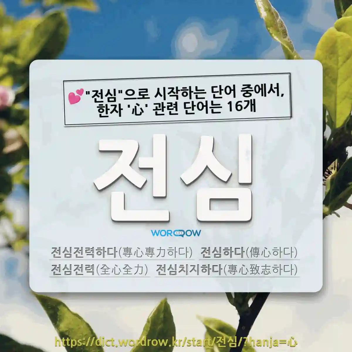 국어사전에서 💕전심으로 시작하는 단어 중에서, 한자 心 (마음 심) 관련 단어는 16개