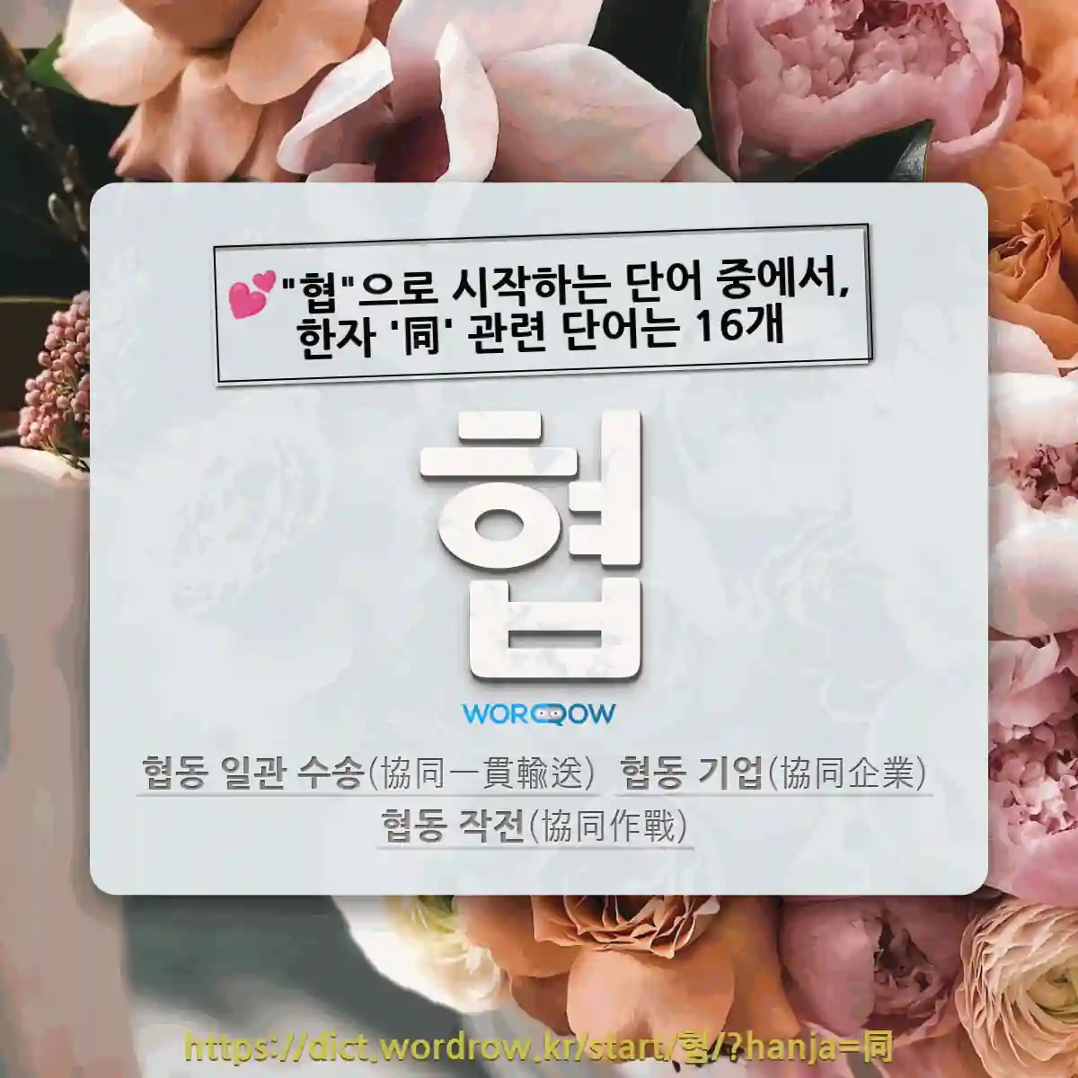 국어사전에서 💕협으로 시작하는 단어 중에서, 한자 同 (같을 동) 관련 단어는 16개